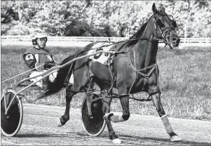  ?? SUBMITTED PHOTO ?? Randy Getto is shown at the reins of Surrealist during a race at Northside Downs during the 2016 racing season.