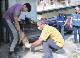  ?? BERNAMAPIX ?? Perak Veterinary Services Department staff vaccinatin­g a pet in Kuala Sepetang after the death of a rabid dog in the area earlier this month.