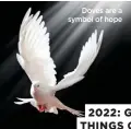 ?? ?? Doves are a symbol of hope