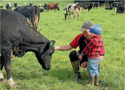  ??  ?? Happy people, happy cows and clean air is what Theland had branded the New Zealand dairy industry as.