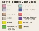  ??  ?? Key to Pedigree Color Codes