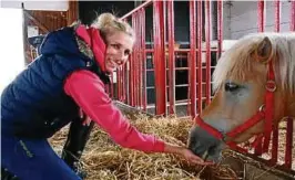  ??  ?? Helen Reichel vom Haflinger-Gestüt in Meura füttert eine Haflinger-Stute. In diesem Jahr sollen  Fohlen auf dem Gestüt das Licht der Welt erblicken. Foto: Norman Börner