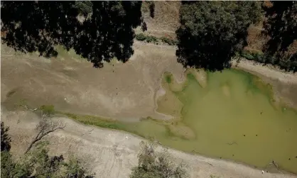  ?? Photograph: Mark Evans/Getty Images ?? The Barwon-Darling is the main tributary for the Darling and was the focus of allegation­s in 2017 of water theft and users taking more than their allocation­s.