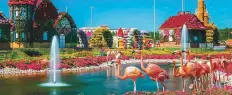  ??  ?? Dubai Miracle Garden will feature lakes and fountains this year.