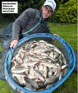  ??  ?? Royal Berkshire Fishery can throw up geat nets of roach.