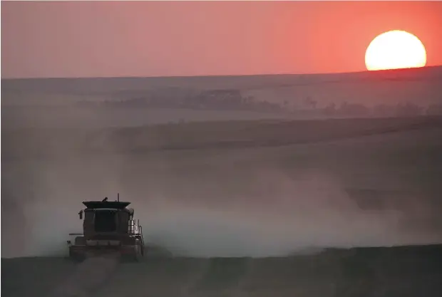  ?? MIKE DREW / POSTMEDIA NEWS FILES ?? A combine harvesting canola in the Kneehills area east of Innisfail, Alberta.