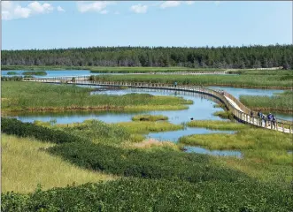  ??  ?? The Greenwich peninsula portion of Prince Edward Island National Park is seen in Greenwich, Prince Edward Island on Aug. 29.