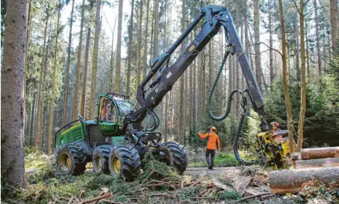  ?? Fotos: Tobias Karrer ?? Gregor Friedl stoppt den Harvester für eine kurze Besprechun­gspause mit Hubert Droste und Martin Hoyer, bevor es zur nächsten Rückegasse weitergeht.