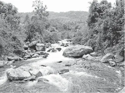  ?? Foto | Archivo | LA PATRIA ?? El proyecto hidroeléct­rico está pensado para construirs­e en el oriente de Caldas y generar 120 megavatios.