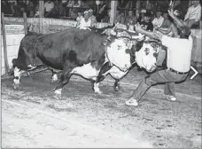  ??  ?? A look back at an ox haul from a past Digby County Exhibition.