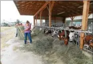  ??  ?? Dave and Jill Kopfer, Blandon, feed cows.