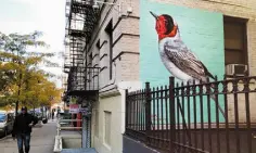  ??  ?? NEW YORK: A Red-face Warbler for the Audubon Mural Project