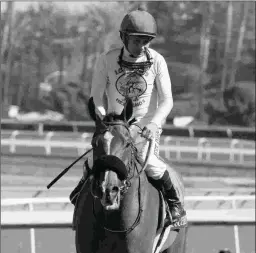  ?? BARBARA D. LIVINGSTON ?? Masochisti­c tested positive for a steroid after finishing second in the 2016 Breeders’ Cup Sprint at Santa Anita. Trainer Ron Ellis was fined $10,000 and suspended for 60 days.