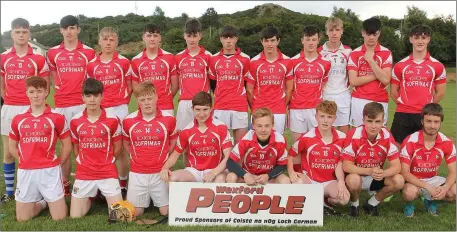  ??  ?? The successful squad from Moguegeen Gaels, the Fethard and Clongeen combinatio­n.