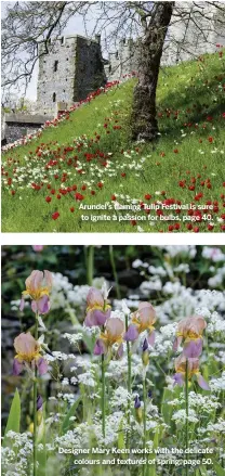  ??  ?? Arundel’s flaming Tulip Festival is sure to ignite a passion for bulbs, page 40. Designer Mary Keen works with the delicate colours and textures of spring, page 50.