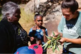  ??  ?? Clockwise from above: At Children’s Ground, lessons take place outside classrooms, on Country; learning to source and prepare bush foods; the children and Felicity on Country; Felicity teaches her grandchild­ren to identify a water source on the dried up Todd River. In Indigenous families, learning is intergener­ational.