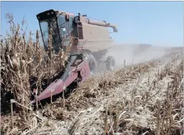  ??  ?? A motorised harvester collects maize at a farm near Bronkhorst­spruit, Gauteng. Maize crops are expected to benefit from La Niña in the next season.