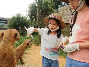  ?? 張智傑攝 ?? 六福莊做為亞洲唯一生­態渡假旅館，打造讓遊客與動物幾乎­零距離的互動體驗。