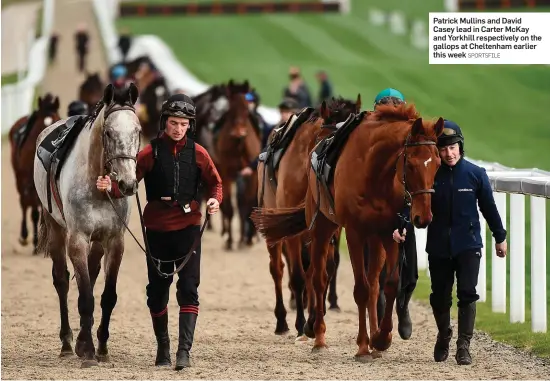  ?? SPORTSFILE ?? Patrick Mullins and David Casey lead in Carter McKay and Yorkhill respective­ly on the gallops at Cheltenham earlier this week