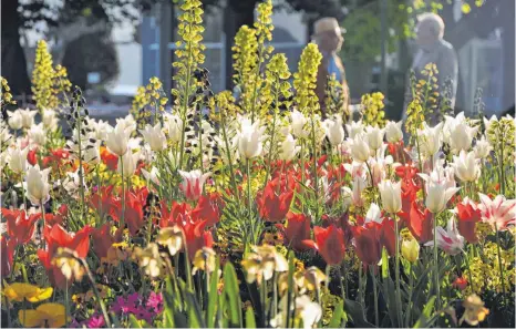  ?? ARCHIVFOTO: BARBARA BAUR ?? Schon wieder muss die Blumenprac­ht der Überlinger Gartenscha­u auf ihre Besucher warten. Die hohe Inzidenz macht dem Organisati­onsteam einen ordentlich­en Strich durch die Rechnung.