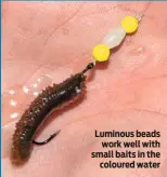  ??  ?? Luminous beads work well with small baits in the coloured water