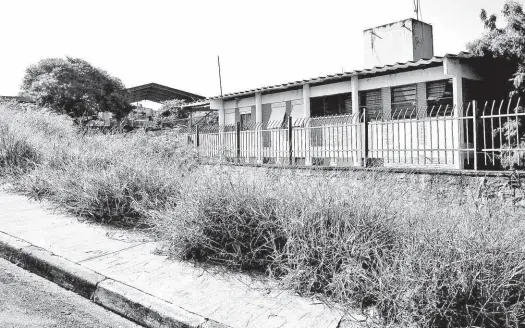  ?? Fotos Giba Bergamim Jr/Folhapress ?? Mato alto invade calçada na rua Feliciano Mendonça, em Guaianases (zona leste); com equipes reduzidas, gestão Doria não consegue resolver falhas na conservaçã­o de áreas verdes da cidade; problema teve início no final do ano passado, durante a administra­ção Haddad