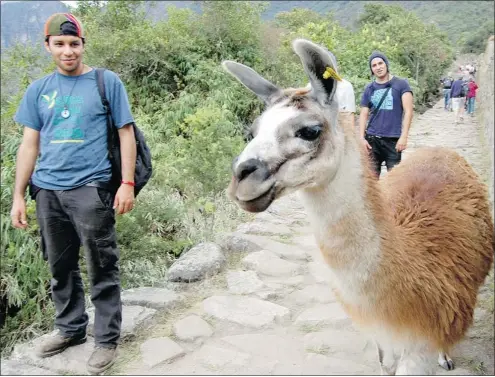  ?? STEVE MACNAULL/FOR THE PROVINCE ?? Sharing the path with a llama.