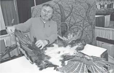  ?? PAUL A. SMITH / MILWAUKEE JOURNAL SENTINEL ?? Loren Voss shows a skin from a wild turkey he shot that will be used for a decoy. Voss, 69, has hunted turkeys for 48 years and considers Wisconsin the best spring turkey hunting destinatio­n in the nation.
