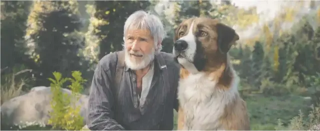  ?? TWENTIETH CENTURY FOX/TN ?? Harrison Ford in “Call of the Wild.”