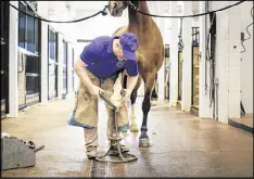  ??  ?? Erik Schubert, a farrier, cares for a horse’s hooves at the Mackinac Island Carriage Tours stable in Michigan. The company’s longtime farrier was not granted an H-2B visa despite his previous 22 years of service on the island.