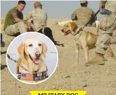  ?? ?? MILITARY DOG