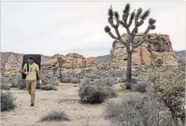  ?? ALEX PULASKI FOR THE WASHINGTON POST ?? Twisted trees and jumbled boulders compete for attention in Joshua Tree National Park.