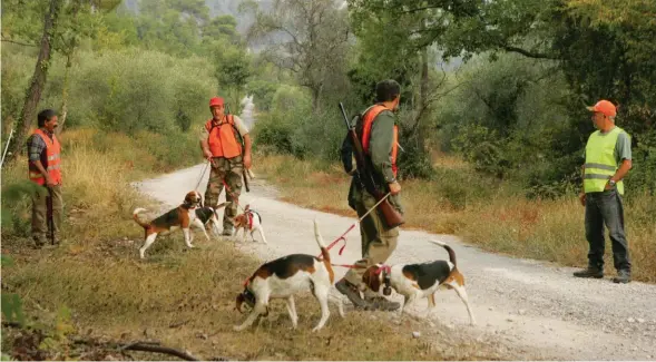  ??  ?? Des milieux très fermés et éprouvants, des traqueurs armés et une absence régulière d’angle de tir, un cocktail délicat dans certaines zones du Sud-Est.