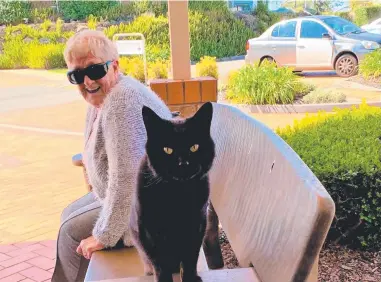  ?? ?? BEST FRIENDS:Bubba, the village cat, has wandered its way into the heart and home of Cyndy Press and it's a great partnershi­p. Picture: Contribute­d