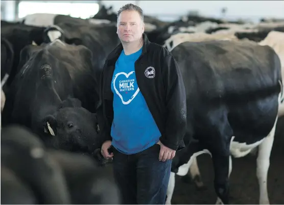  ?? PETER POWER/FILES ?? Murray Sherk milks 125 dairy cows in Plattsvill­e, Ont., about 120 kilometres west of Toronto. A renewed enthusiasm for Canada’s milk due to lower domestic prices rather than tariffs means that there appears to be very little that U.S. President Donald...