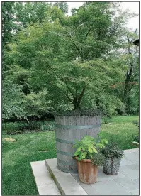  ?? For The Washington Post/NICK MCCULLOUGH ?? Planters can define key edges of the garden. Here, designer Nick McCullough has used the upright Japanese maple Seiryu.