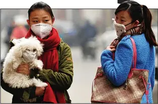  ??  ?? Dog in the smog: Masked Chinese pedestrian­s protect themselves from pollution