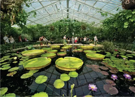  ??  ?? The Waterlily House at Kew