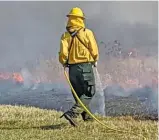  ?? DALE BOWMAN/SUN-TIMES ?? Mickey Cardenas wets the edges of a prescribed burn in early November at Nachusa Grasslands.