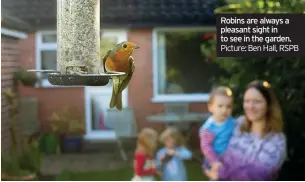  ?? Picture: Ben Hall, RSPB ?? Robins are always a pleasant sight in to see in the garden.