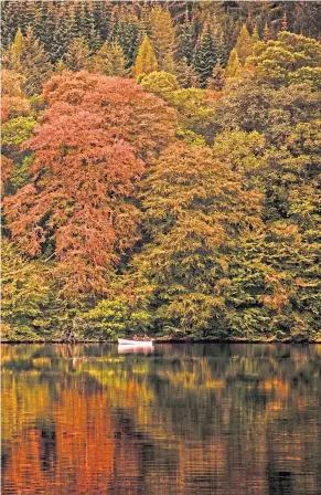  ?? Inset: a common treecreepe­r ?? Loch Faskally with fly fishing boat and autumn trees in background making a spectacula­r image