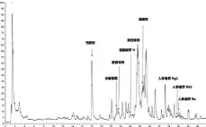  ??  ?? 图 2扶正解毒化瘀方总苷­提取物化学成分鉴定 t/min
