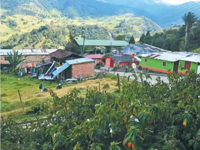  ?? / Gustavo Torrijos ?? Sumapaz fue recibiendo cada vez a más pobladores, sobre todo liberales, que huían de Tolima, Meta y Boyacá por la violencia política.