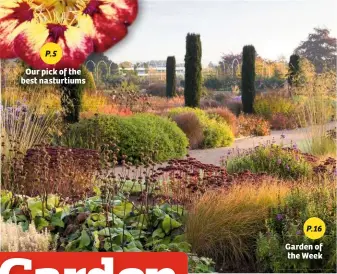  ??  ?? Garden of the Week P.16