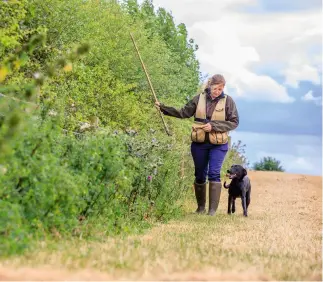  ?? ?? Some dogs can be spooked by the noise of a stick or flag, so it is important to build their confidence