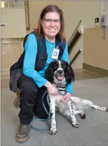  ?? ANDREA PEACOCK/The Daily Courier ?? Trainer Teresa Zurberg holds Angus, an English springer spaniel who is trained to detect the deadly bacterium Clostridiu­m difficile.