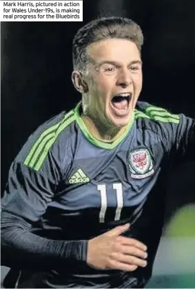  ??  ?? Mark Harris, pictured in action for Wales Under-19s, is making real progress for the Bluebirds