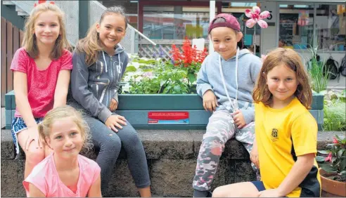  ??  ?? Students from Maungawhau School in Auckland with their recycled garden bed they won in a TerraCycle competitio­n in 2017.