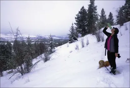  ?? J.P. SQUIRE/Special to The Okanagan Sunday ?? Even when you are trekking through soft powder snow, it’s important to stay hydrated. Bring a small container of water and take a sip when you pause to check out the view, like the panorama unfolding before you from the east side of Stephens Coyote...