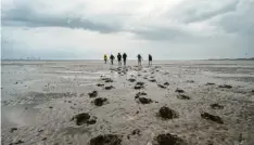  ?? ?? Zieht sich das Wasser zurück, kann man auf dem Meeresbode­n spazieren gehen.